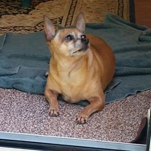 Meet your Posher, Diane